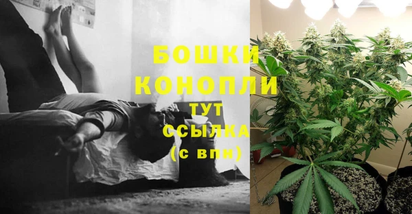 мяу мяу мука Бугульма