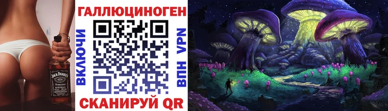 магазин    Калязин  Псилоцибиновые грибы Cubensis 